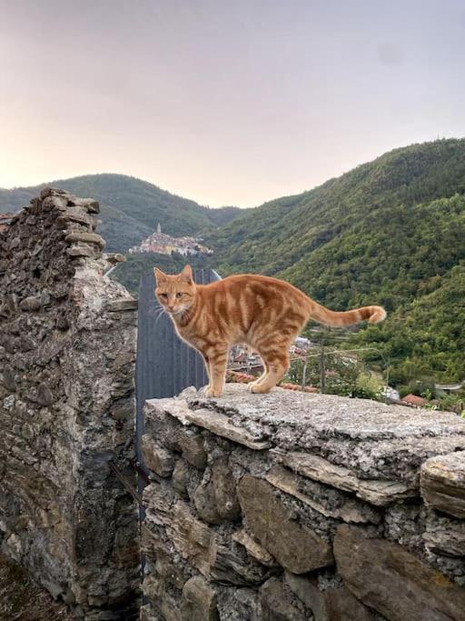 Iconic Italian Townhouse W Rooftop Terrace & Mountain View, Pigna Eksteriør billede