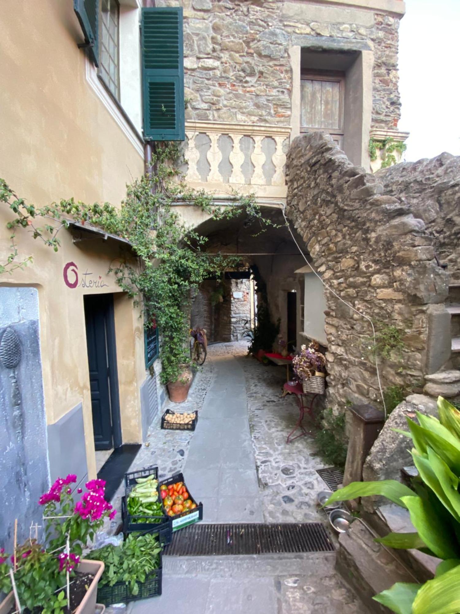 Iconic Italian Townhouse W Rooftop Terrace & Mountain View, Pigna Eksteriør billede